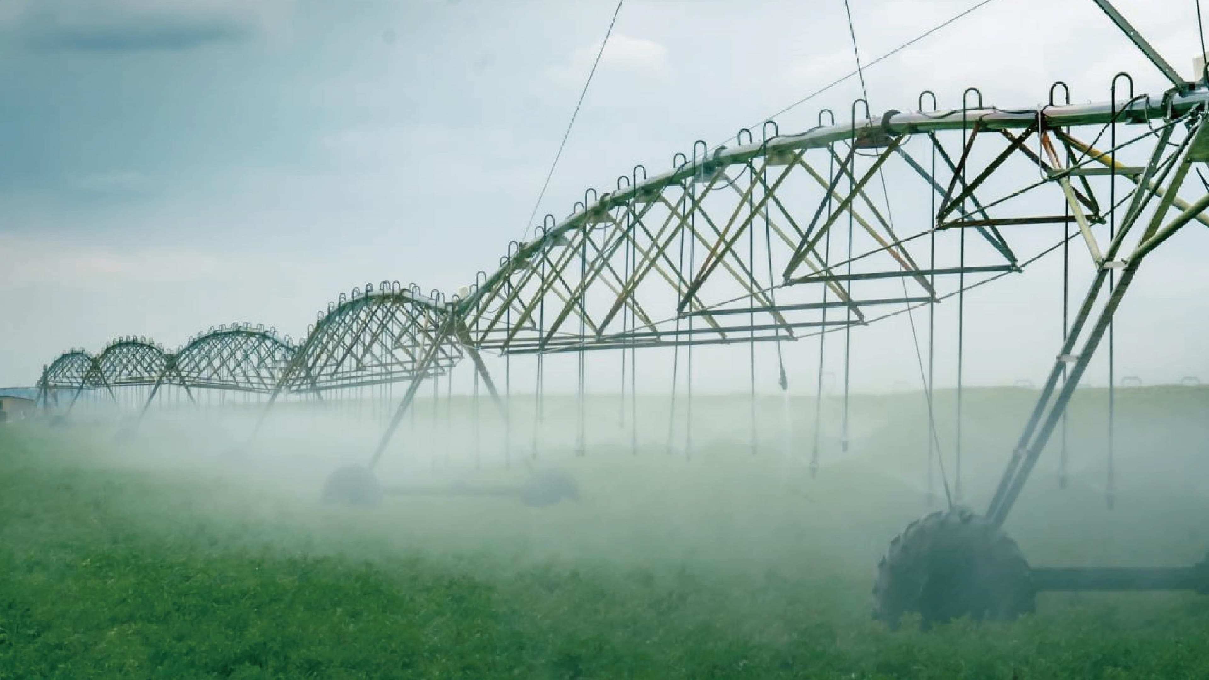 Irrigation